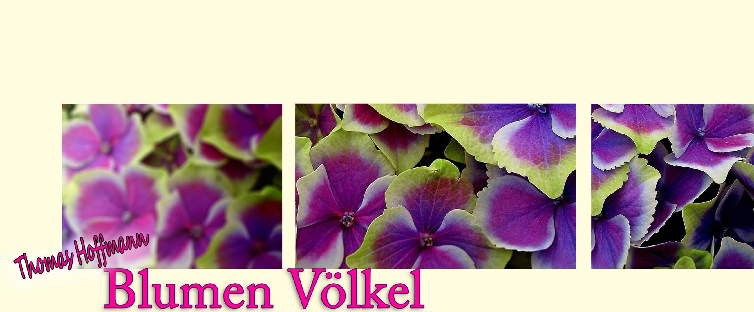 Blumen Völkel Lünen